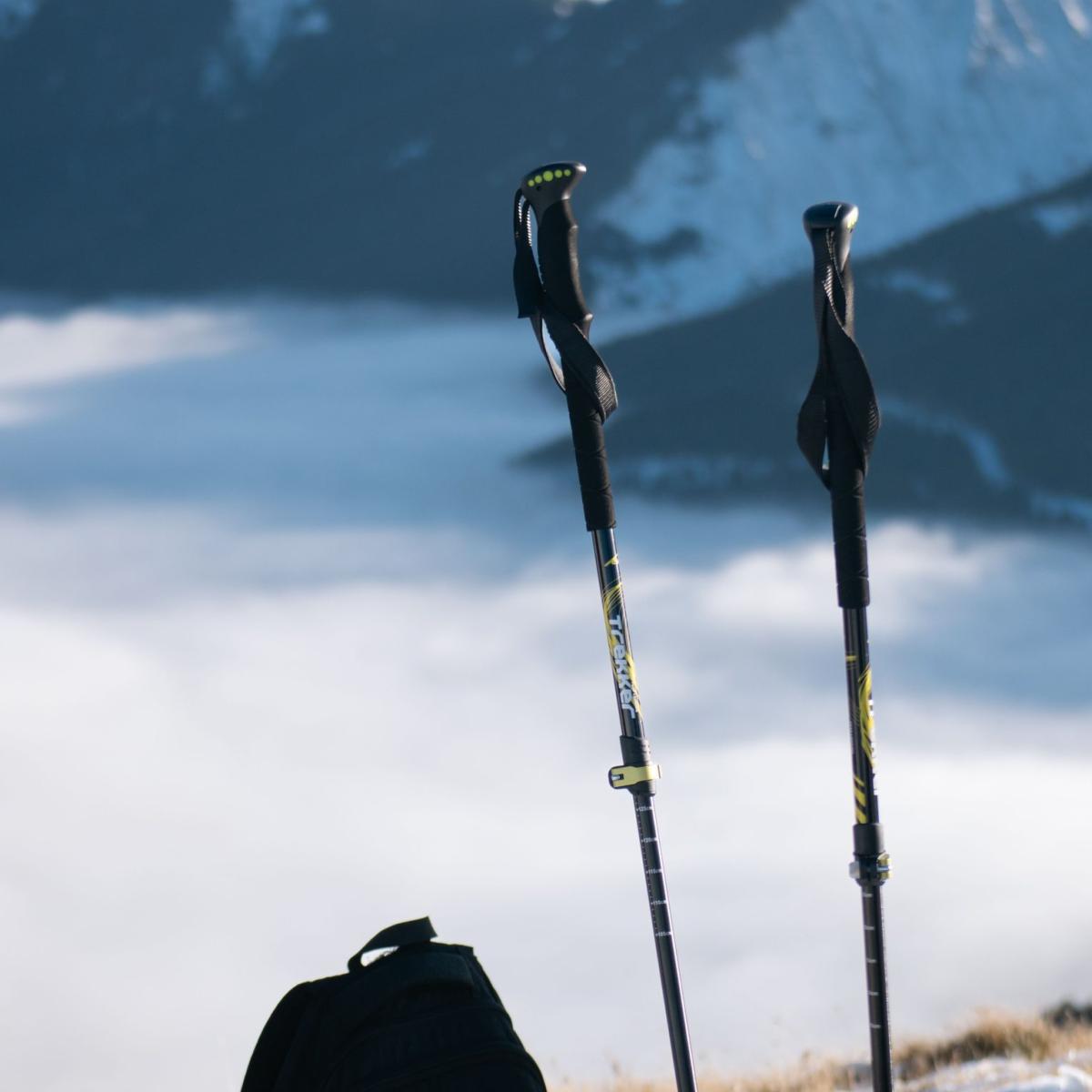 Folding Carbon Trekking Poles