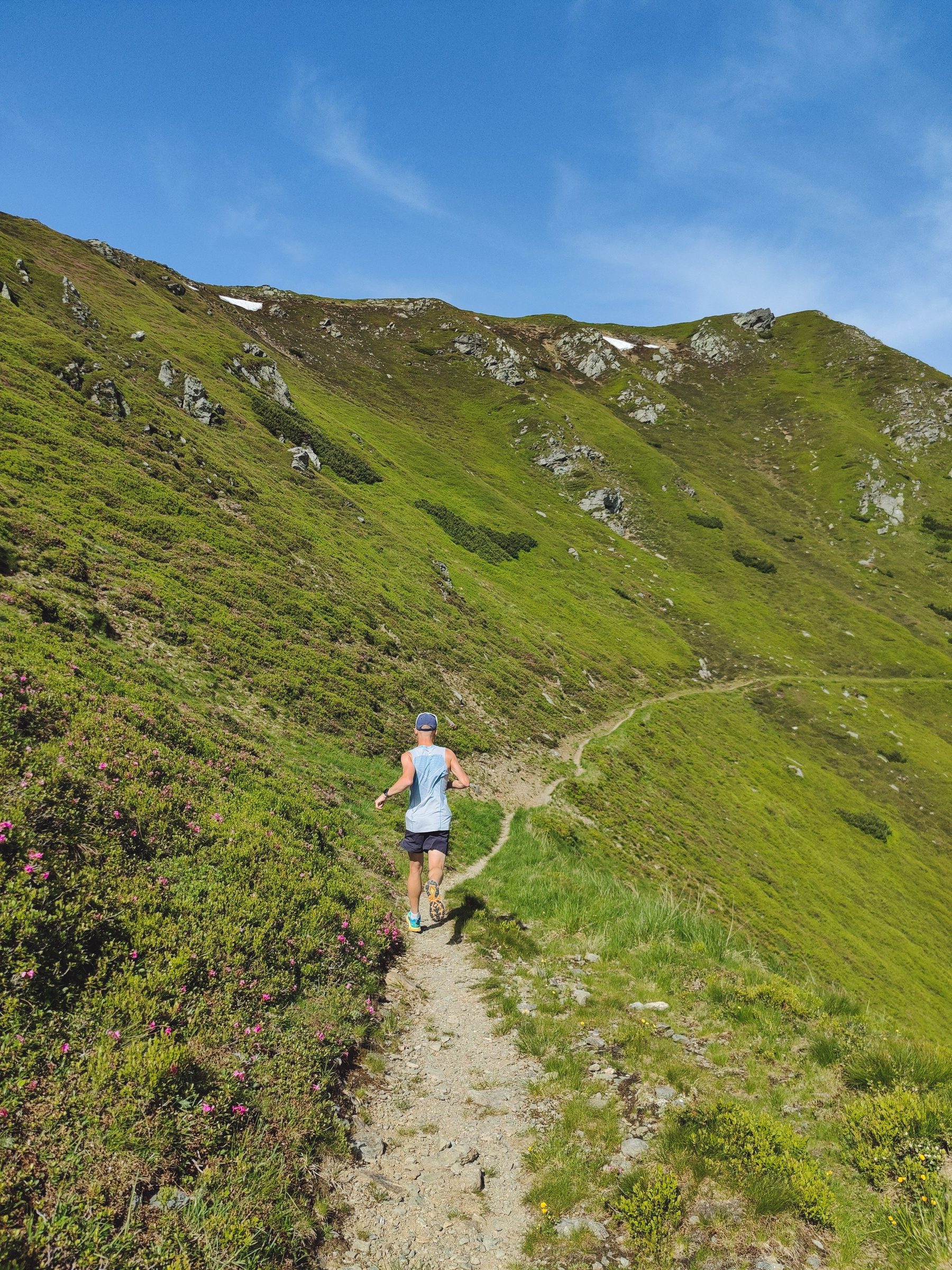 Trail runner on a narrow path across a green mountain slope